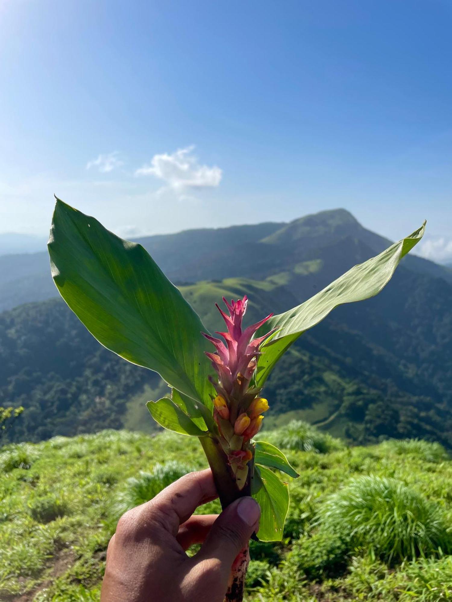 Appartamento Ikyam Madikeri Esterno foto